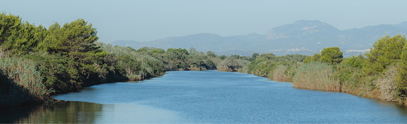Canales y Cultivos Vista de un gran canal en el entorno del Parque Natural