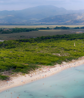 Cerca del mar Vista aérea en la que se aprecia la cercanía de S'Albufera con el mar