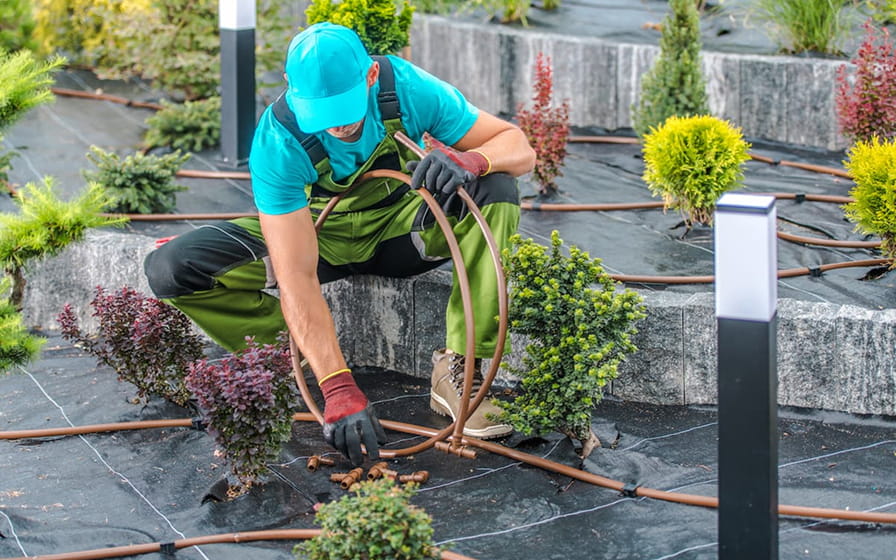 Riego por goteo en un Hotel eficiente de Playa de Muro