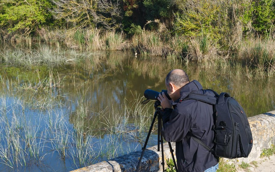 Person, die ein Foto von der Albufera macht