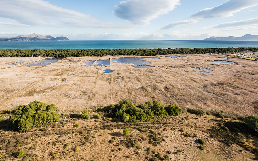 Landschaft der Albufera und Strand Playa de Muro