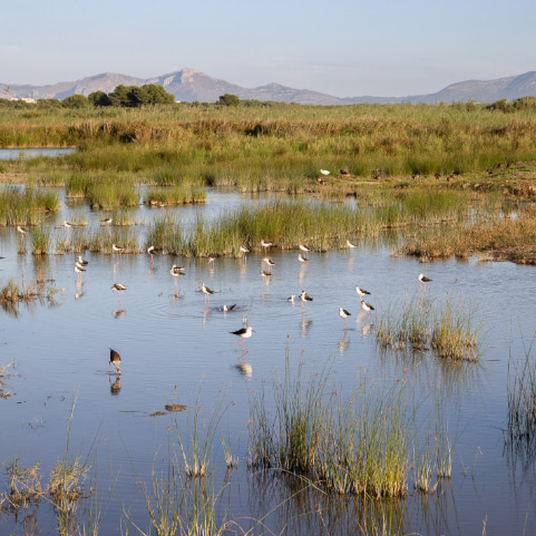 Planes de Relax Planes de Relax